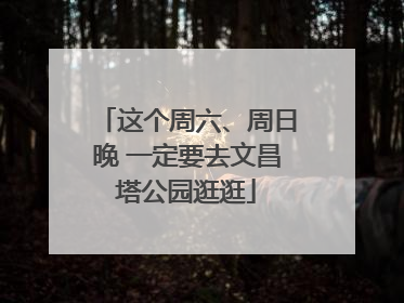 这个周六、周日晚 一定要去文昌塔公园逛逛