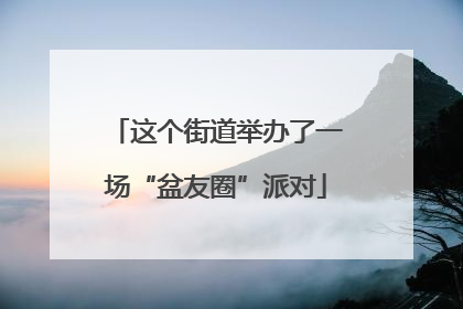 这个街道举办了一场“盆友圈”派对