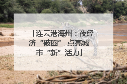 连云港海州：夜经济“破圈” 点亮城市“新”活力