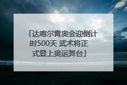 达喀尔青奥会迎倒计时500天 武术将正式登上奥运舞台