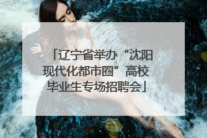 辽宁省举办“沈阳现代化都市圈”高校毕业生专场招聘会