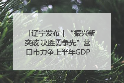 辽宁发布｜“振兴新突破 决胜勇争先”营口市力争上半年GDP增长6%左右