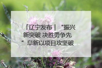 辽宁发布｜“振兴新突破 决胜勇争先”阜新以项目攻坚破解发展瓶颈 经济发展实现良好开局