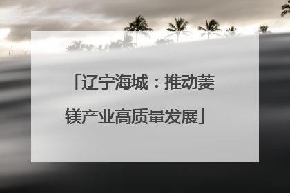 辽宁海城：推动菱镁产业高质量发展