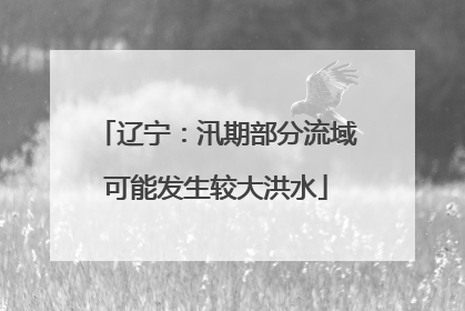 辽宁：汛期部分流域可能发生较大洪水