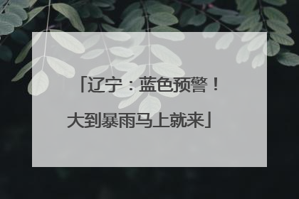 辽宁：蓝色预警！大到暴雨马上就来