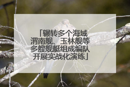 辗转多个海域 渭南舰、玉林舰等多艘舰艇组成编队开展实战化演练