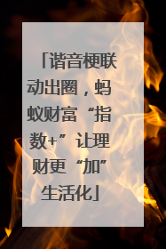 谐音梗联动出圈，蚂蚁财富“指数+”让理财更“加”生活化