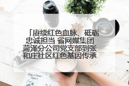 赓续红色血脉、砥砺忠诚担当 省网媒集团菏泽分公司党支部到张和庄社区红色基因传承馆开展主题党日活动