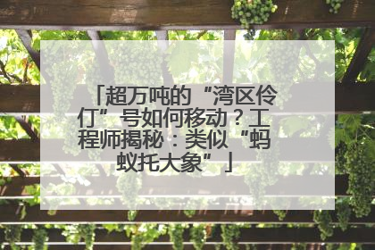超万吨的“湾区伶仃”号如何移动？工程师揭秘：类似“蚂蚁托大象”