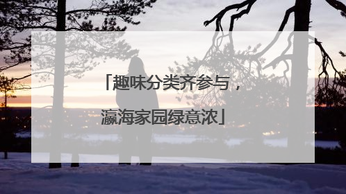 趣味分类齐参与，瀛海家园绿意浓