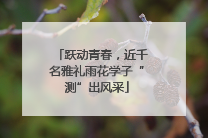 跃动青春，近千名雅礼雨花学子“测”出风采