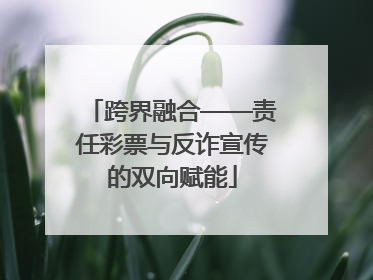 跨界融合——责任彩票与反诈宣传的双向赋能