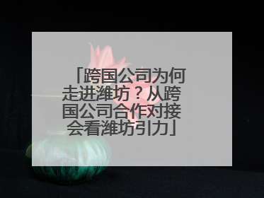 跨国公司为何走进潍坊？从跨国公司合作对接会看潍坊引力
