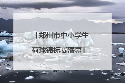 郑州市中小学生荷球锦标赛落幕