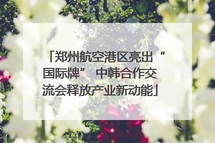 郑州航空港区亮出“国际牌” 中韩合作交流会释放产业新动能