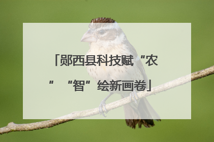 郧西县科技赋“农”“智”绘新画卷