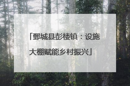鄄城县彭楼镇：设施大棚赋能乡村振兴