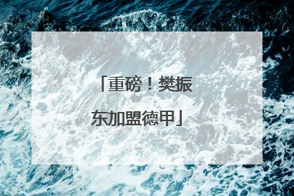 重磅！樊振东加盟德甲