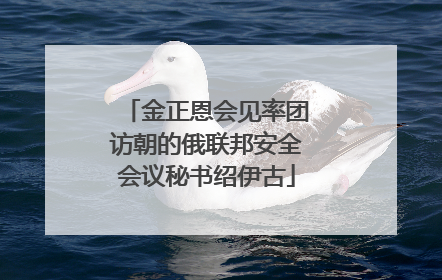 金正恩会见率团访朝的俄联邦安全会议秘书绍伊古