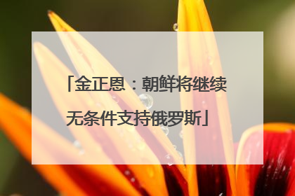 金正恩：朝鲜将继续无条件支持俄罗斯