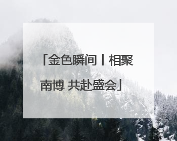 金色瞬间丨相聚南博 共赴盛会