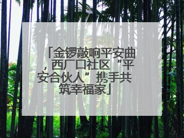 金锣敲响平安曲，西厂口社区“平安合伙人”携手共筑幸福家