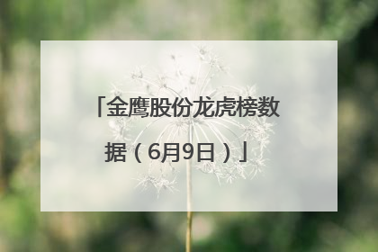 金鹰股份龙虎榜数据（6月9日）