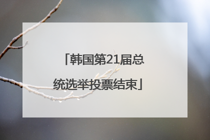 韩国第21届总统选举投票结束