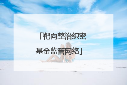 靶向整治织密基金监管网络