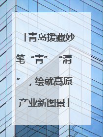 青岛援藏妙笔“青”“清”，绘就高原产业新图景