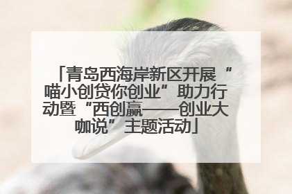 青岛西海岸新区开展“喵小创贷你创业”助力行动暨“西创赢——创业大咖说”主题活动