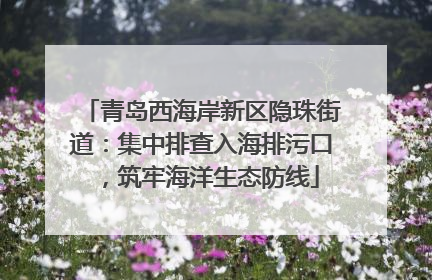 青岛西海岸新区隐珠街道：集中排查入海排污口，筑牢海洋生态防线