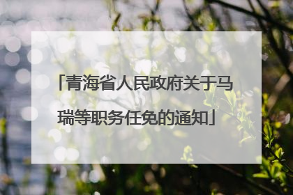 青海省人民政府关于马瑞等职务任免的通知
