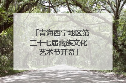 青海西宁地区第三十七届藏族文化艺术节开幕