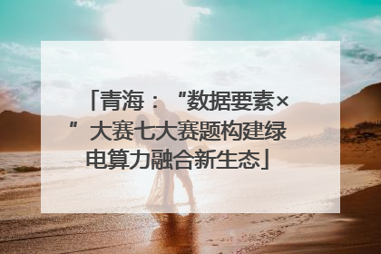 青海：“数据要素×”大赛七大赛题构建绿电算力融合新生态