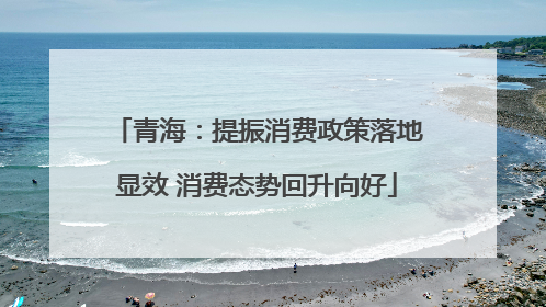 青海：提振消费政策落地显效 消费态势回升向好