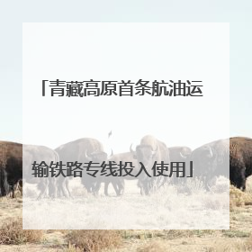 青藏高原首条航油运输铁路专线投入使用