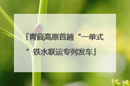 青藏高原首趟“一单式”铁水联运专列发车