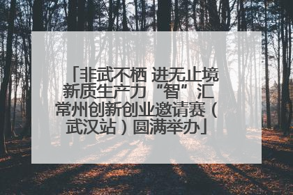 非武不栖 进无止境 新质生产力“智”汇常州创新创业邀请赛（武汉站）圆满举办