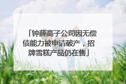 钟薛高子公司因无偿债能力被申请破产，招牌雪糕产品仍在售