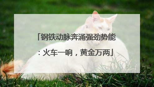 钢铁动脉奔涌强劲势能：火车一响，黄金万两