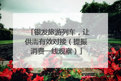 银发旅游列车，让供需有效对接（提振消费一线观察）