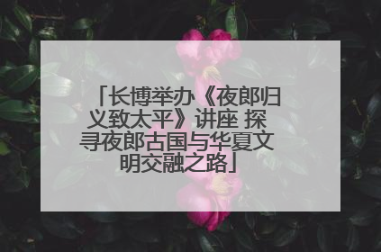 长博举办《夜郎归义致太平》讲座 探寻夜郎古国与华夏文明交融之路