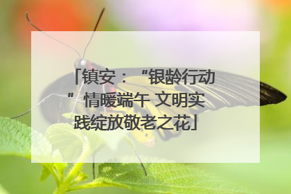 镇安：“银龄行动”情暖端午 文明实践绽放敬老之花