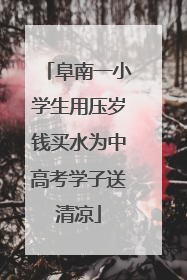 阜南一小学生用压岁钱买水为中高考学子送清凉