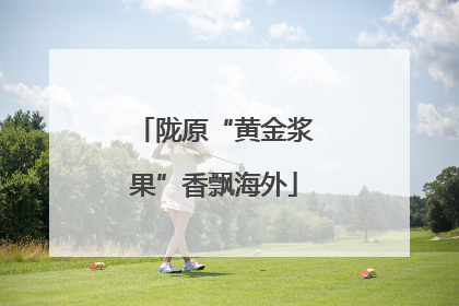陇原“黄金浆果”香飘海外