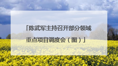 陈武军主持召开部分领域重点项目调度会（图）