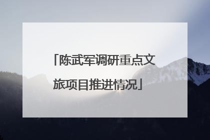 陈武军调研重点文旅项目推进情况