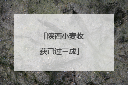 陕西小麦收获已过三成